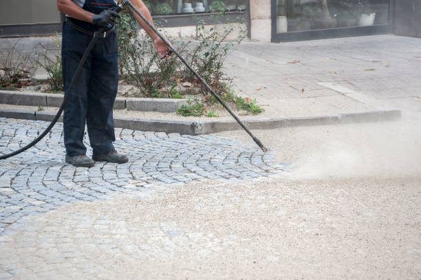 Best Window and Screen Pressure Cleaning in Third Lake, IL
